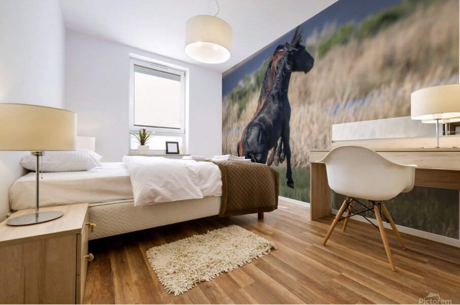 Nevada Virginia Range Series 24 Mural print