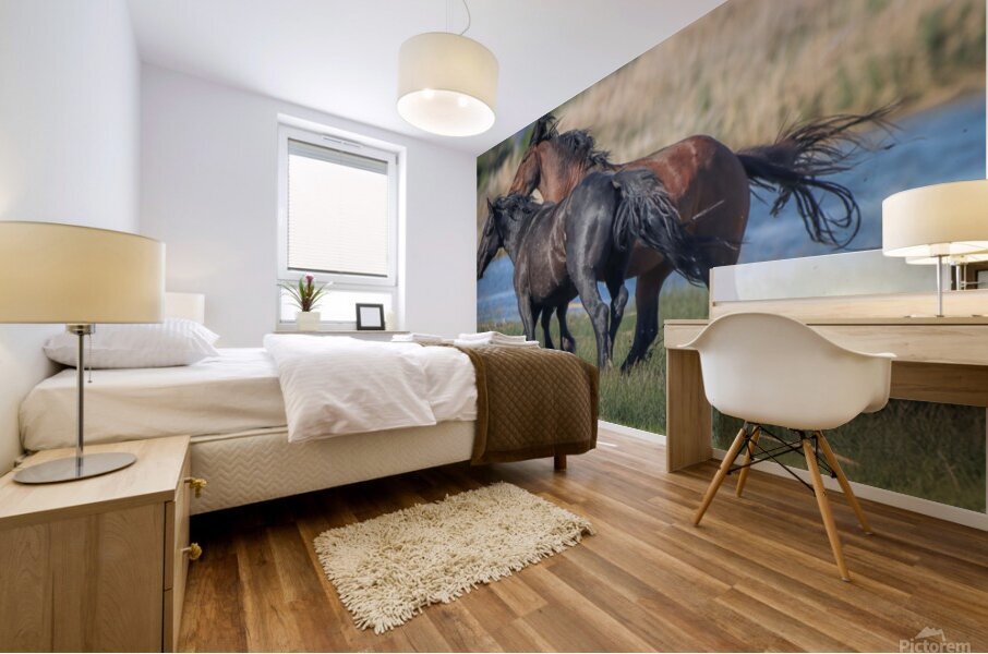 Nevada Virginia Range Series 25 Mural print