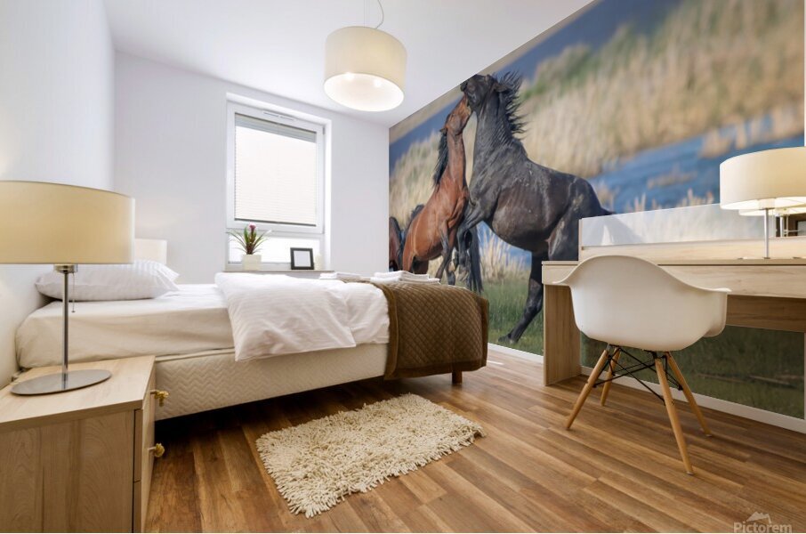 Nevada Virginia Range Series 27 Mural print