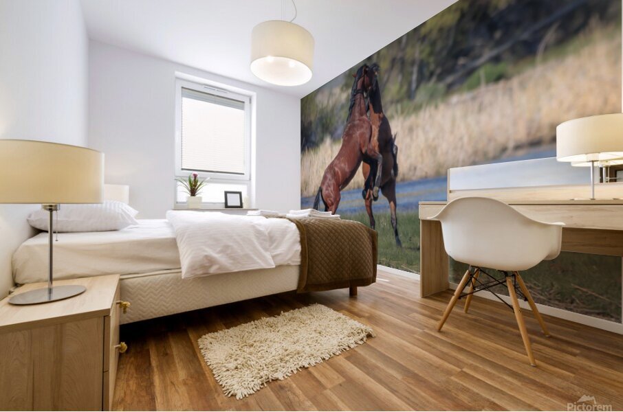 Nevada Virginia Range Series 28 Mural print