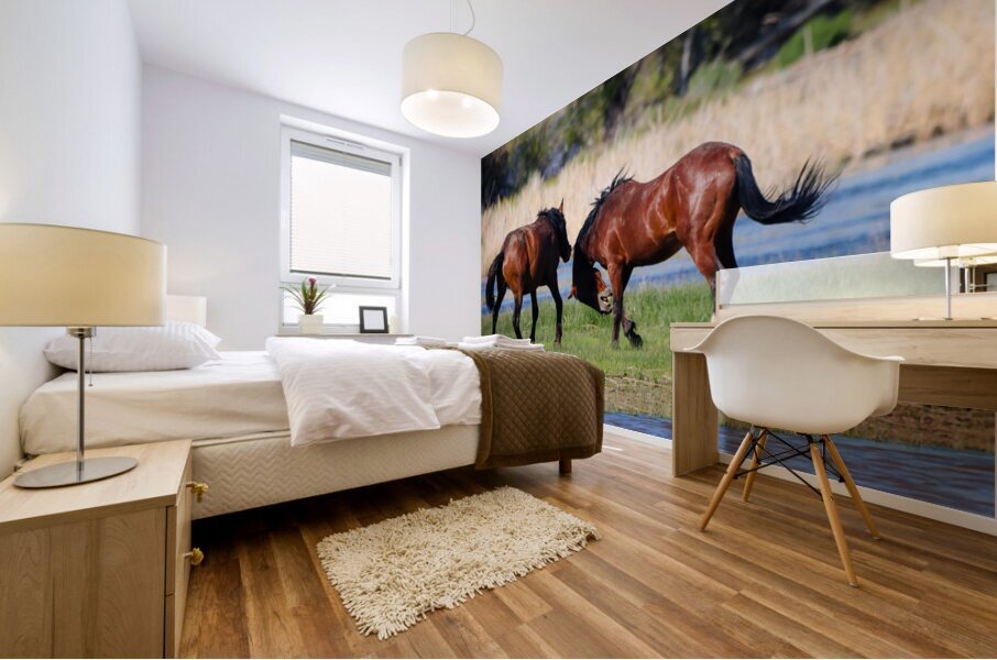 Nevada Virginia Range Series 29 Mural print