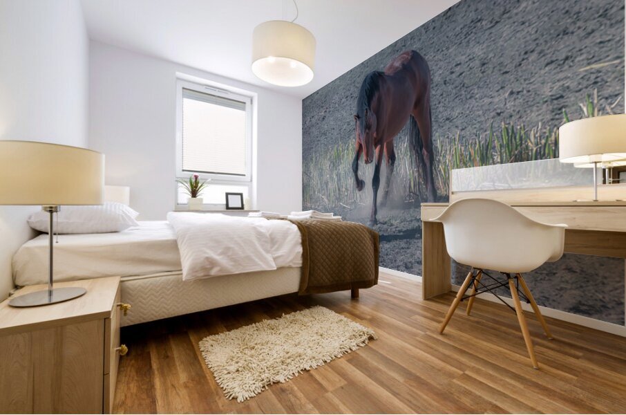 Nevada Virginia Range Series 33 Mural print