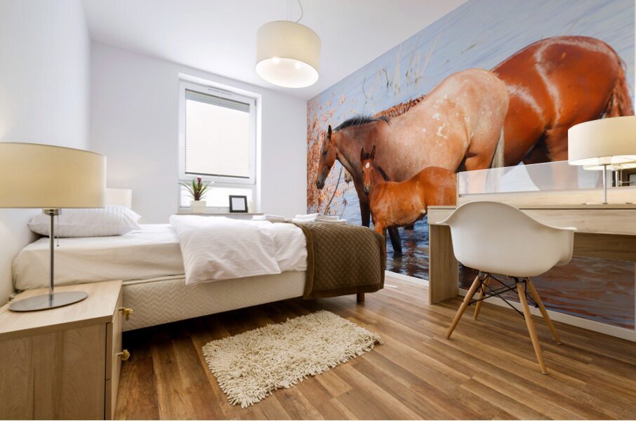 Nevada Virginia Range Series 35 Mural print