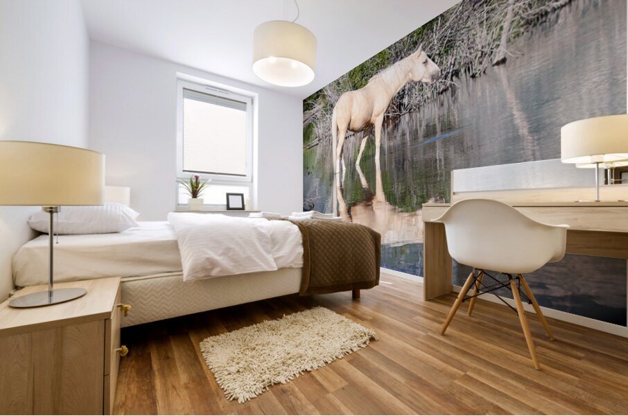 Nevada Virginia Range Series 38 Mural print