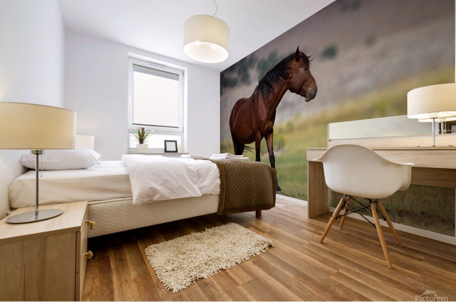 Mono Lake Wild Horse Series 1 Mural print