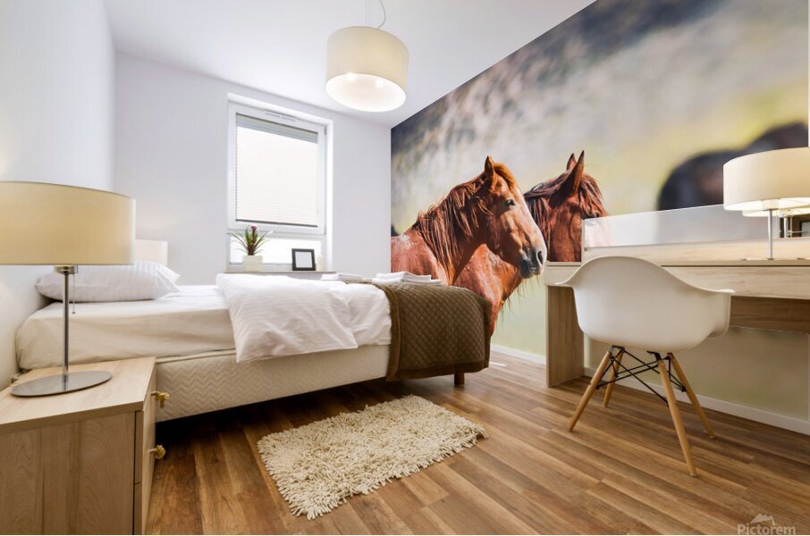 Mono Lake Wild Horse Series 1 Mural print