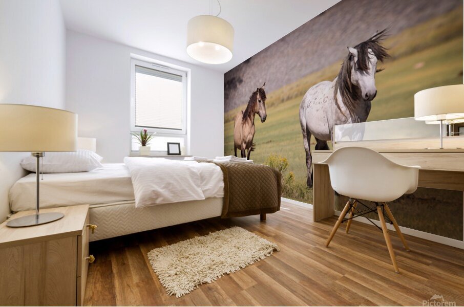 Mono Lake Wild Horse Series 1 Mural print