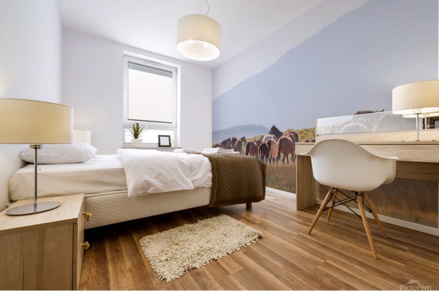 Mono Lake Wild Horse Series 1 Mural print