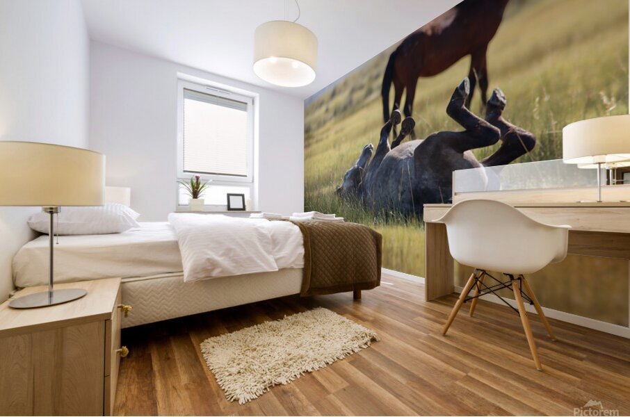 Mono Lake Wild Horse Series 1 Mural print