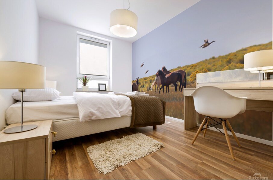 Mono Lake Wild Horse Series 1 Mural print