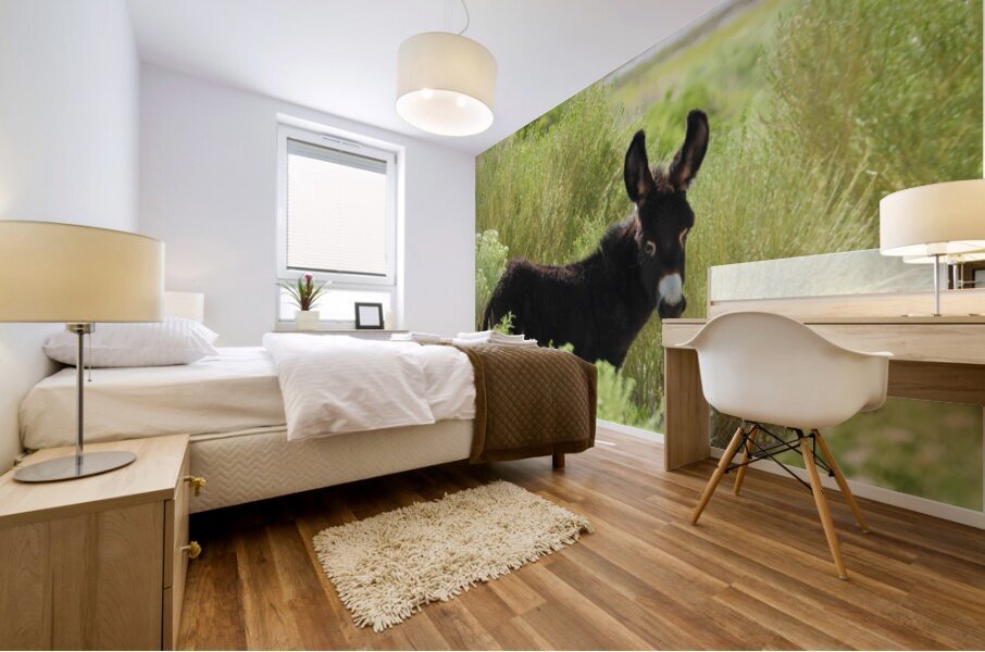 Marietta Wild Burro Range HMA 1 Mural print