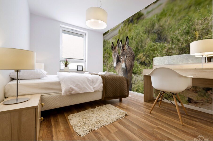Marietta Wild Burro Range HMA 1 Mural print