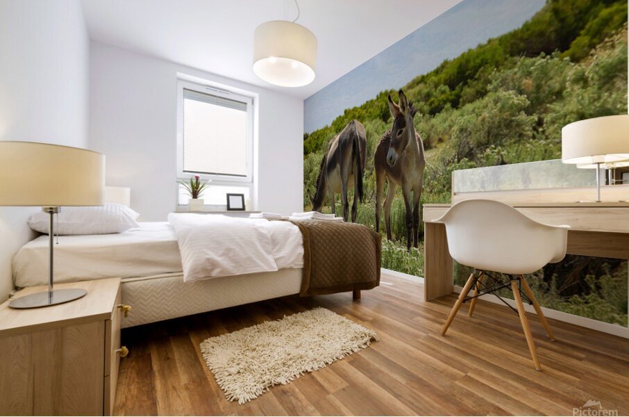 Marietta Wild Burro Range HMA 1 Mural print