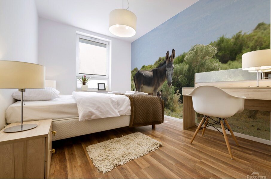 Marietta Wild Burro Range HMA 1 Mural print