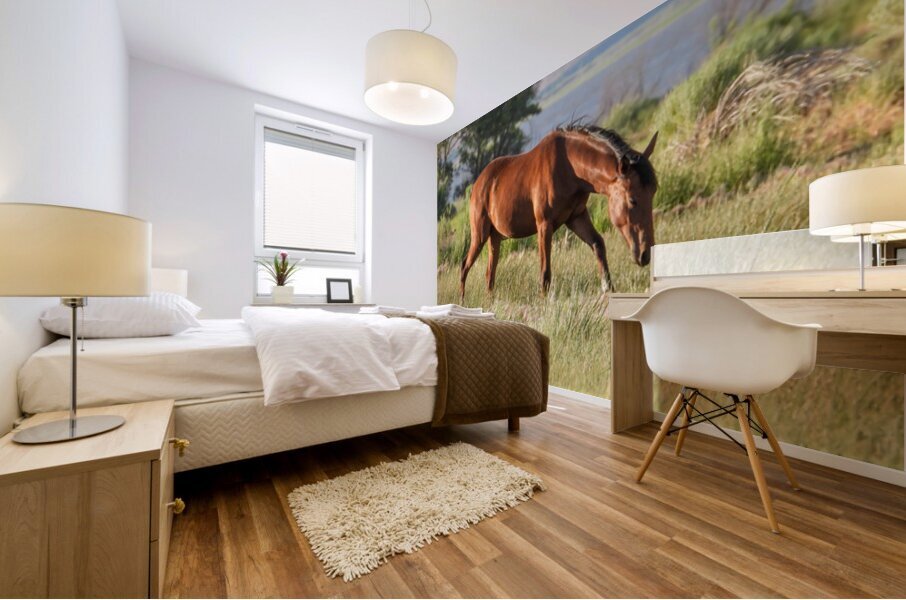 Nevada wild 3 Mural print