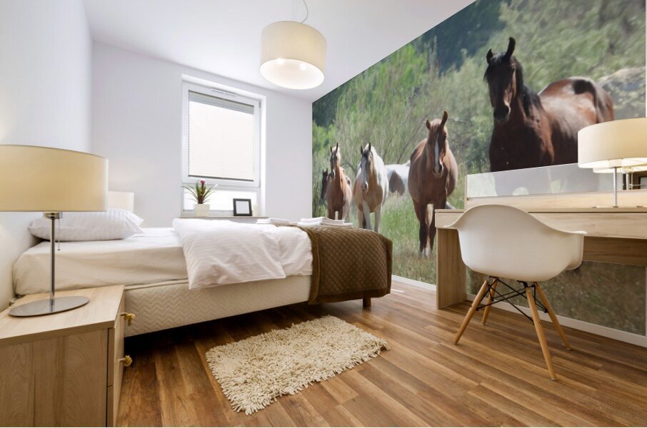 Nevada wild 2 1 Mural print