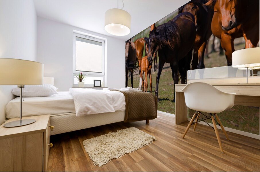 Nevada wild  Series VR1 1 Mural print