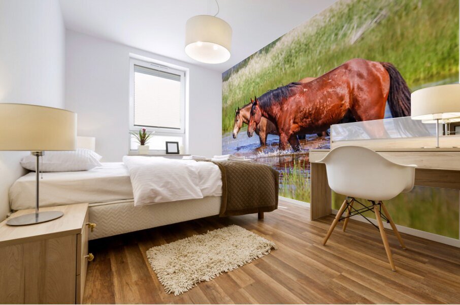 Nevada Mustang 1 2 Mural print