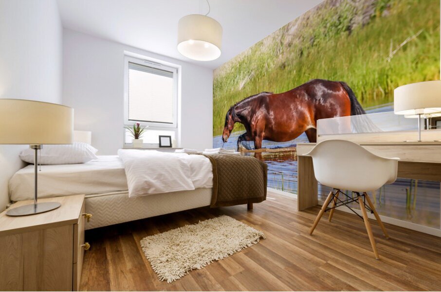 Nevada Mustang 1 4 Mural print