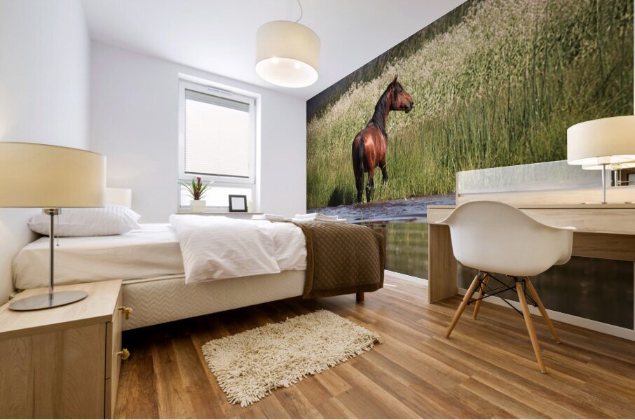 Nevada Mustang 1 5 Mural print