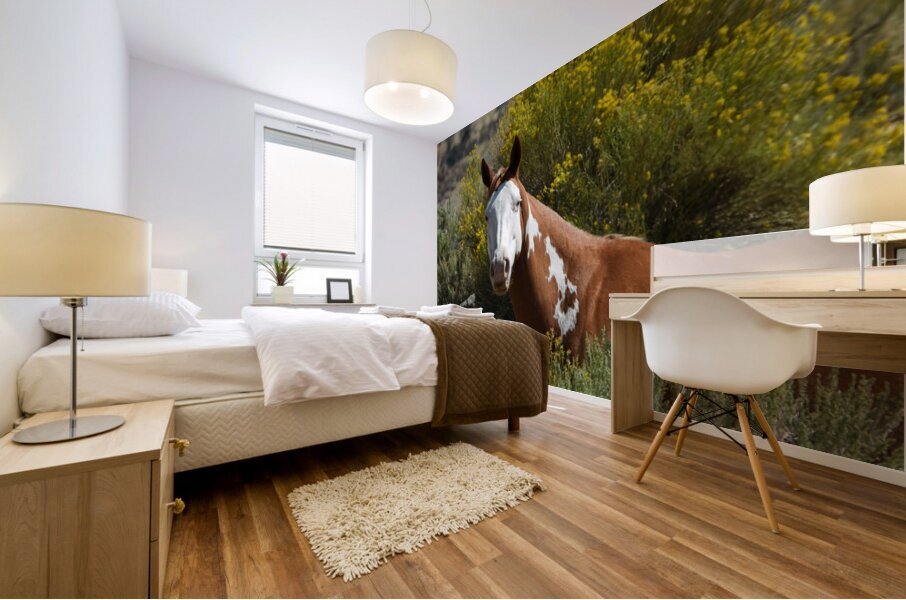 Nevada Mustang 2 7 Mural print