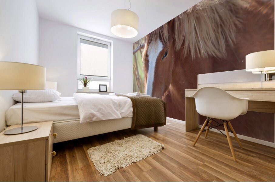 Nevada Wild 12 1 Mural print