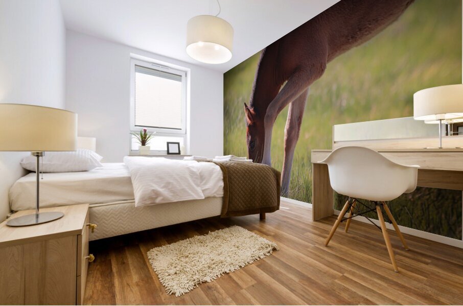 Nevada Wild 13 1 Mural print