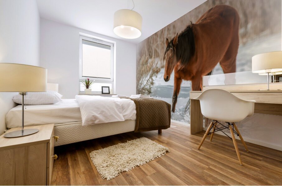 Nevada Wild Winter2 1 Mural print