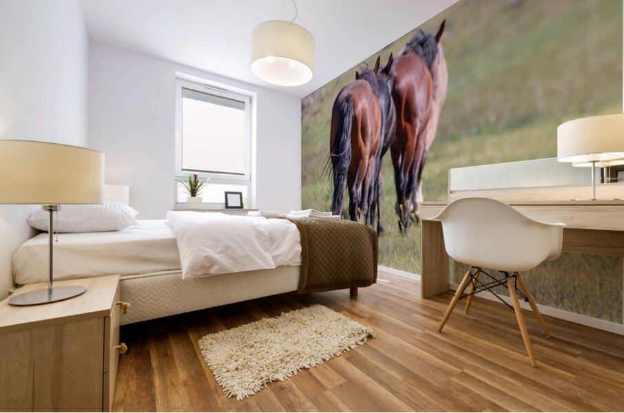 Nevada Wild 14 1 Mural print