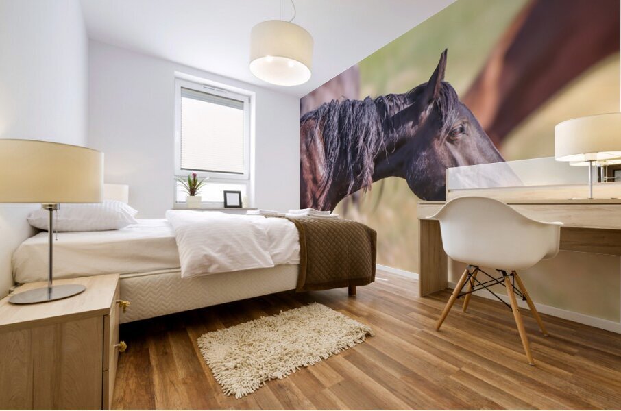 Nevada Wild 165 2 Mural print