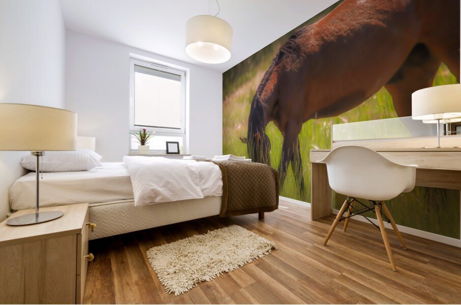 Nevada Wild 165 1 Mural print