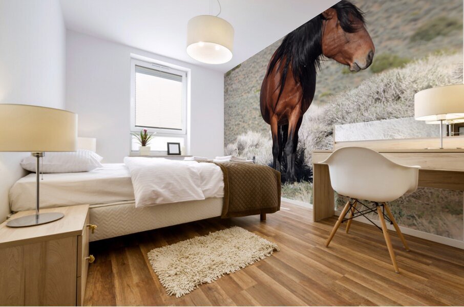 Nevada Wild 165 1 Mural print