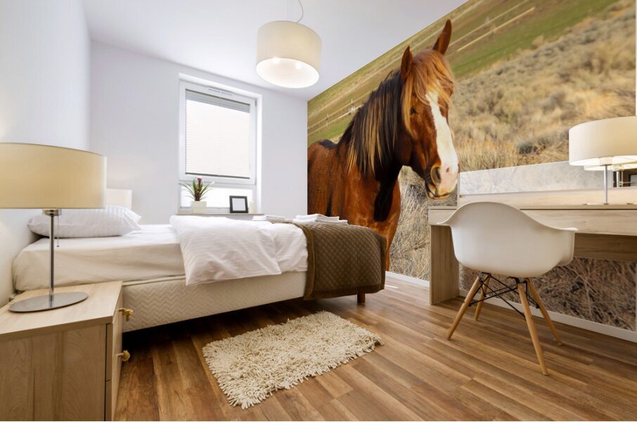 Nevada Wild 165 1 Mural print