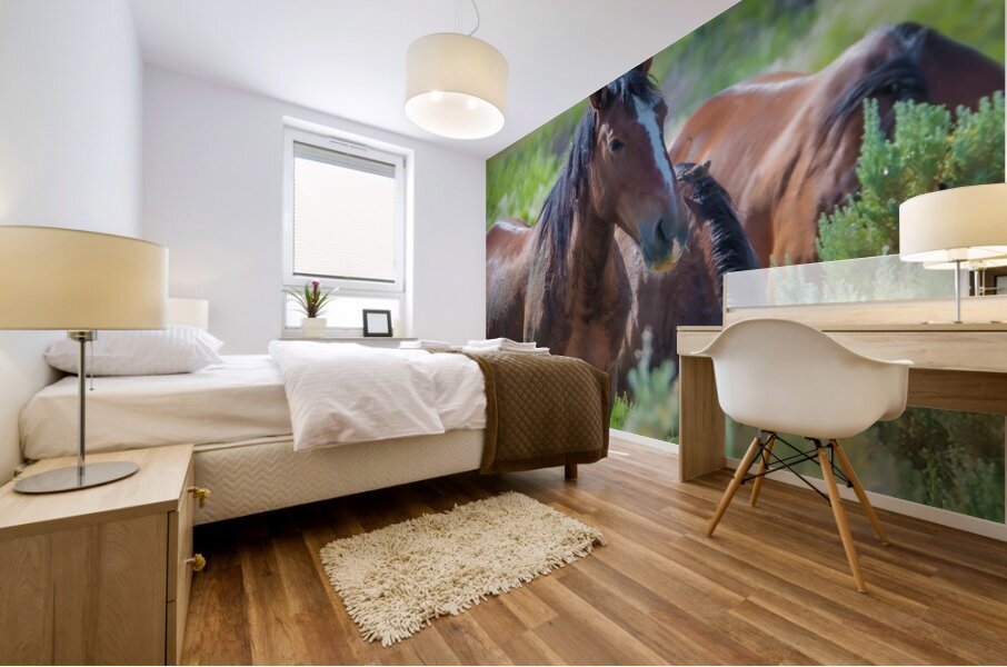 Nevada Wild 165 1 Mural print