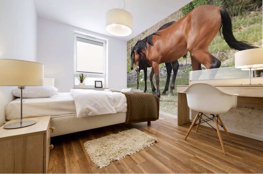 Nevada Wild 165 1 Mural print