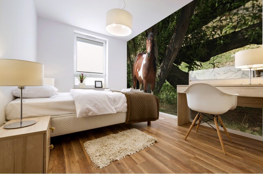 Nevada Wild 165 1 Mural print