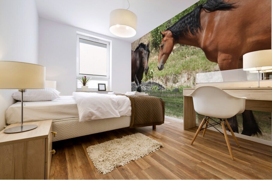 Nevada Wild 165 1 Mural print