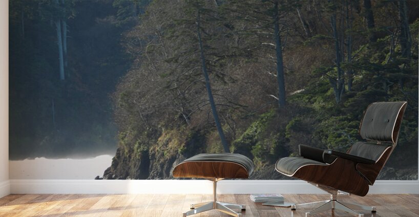 Oregon Coast 1 Wall Murals