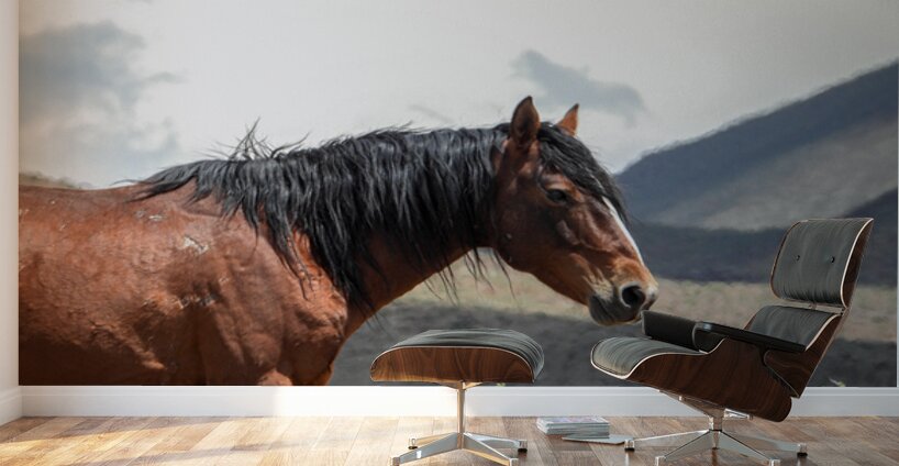 Wild  Horse Nevada Series 2 Wall Murals