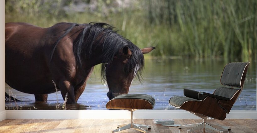 Wild Horse Nevada Series 5 Wall Murals
