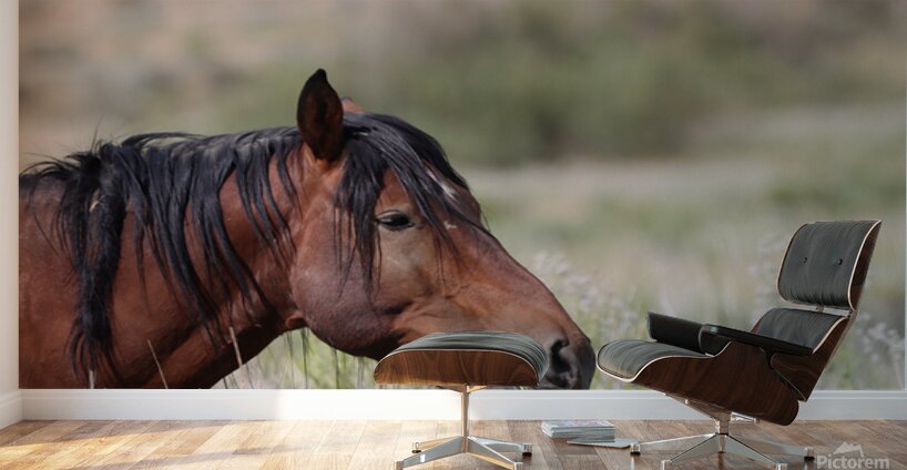 Nevada Virginia Range Series 1 Wall Murals