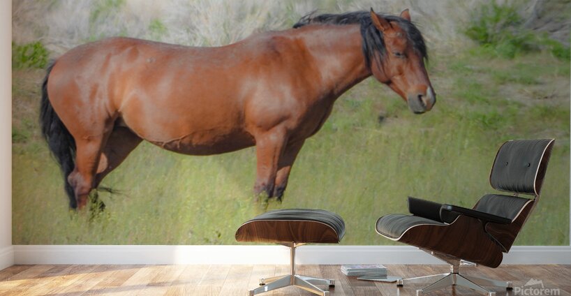 Nevada Virginia Range Series 8 Wall Murals