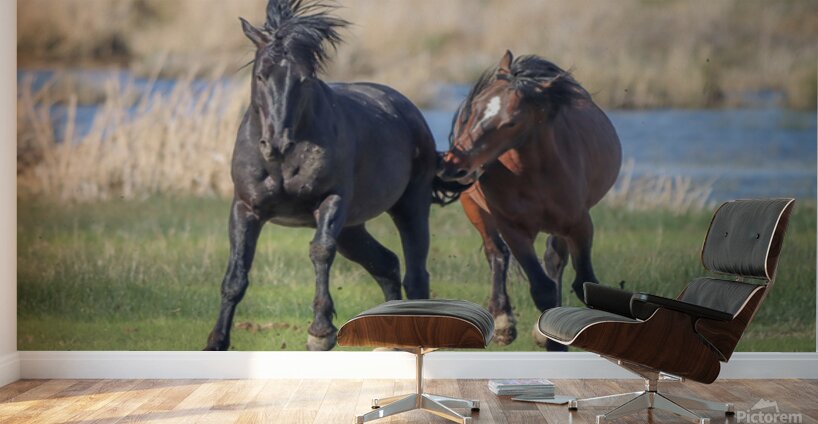 Nevada Virginia Range Series 18 Wall Murals