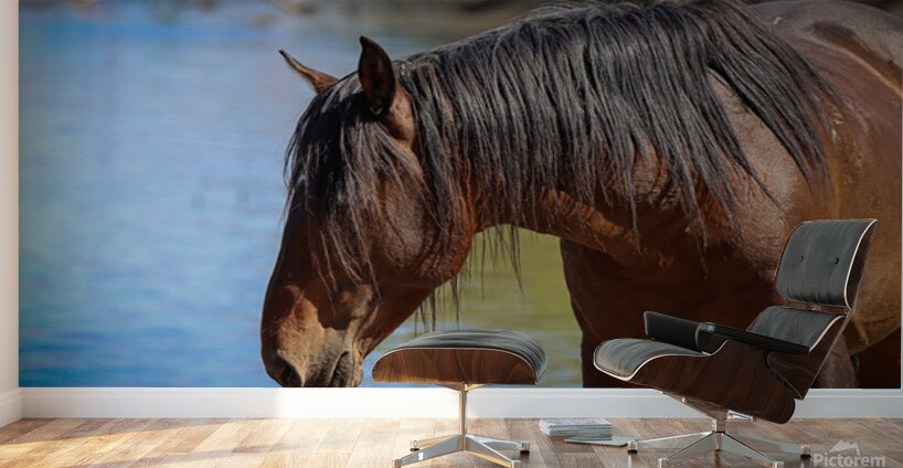 Nevada Virginia Range Series 36 Wall Murals