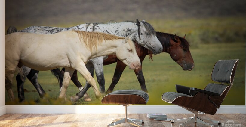 Mono Lake Wild Horse Series 1 Wall Murals