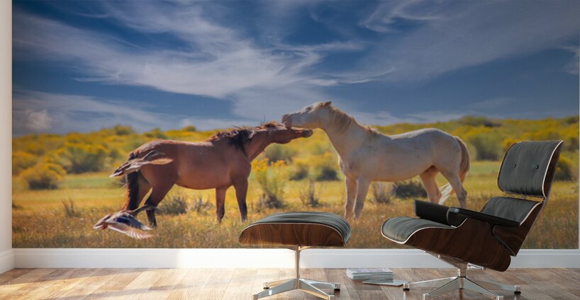 Mono Lake Wild Horse Series 1 Wall Murals
