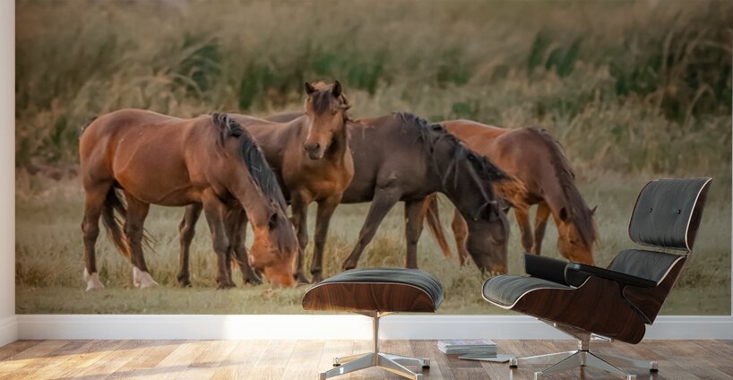 Nevada wild  Series VR1 1 Wall Murals