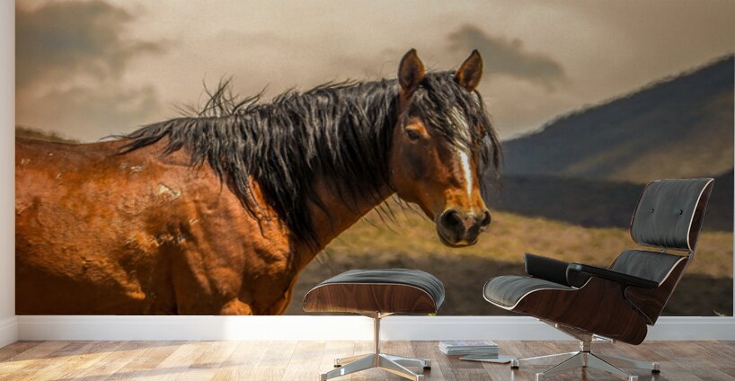 Nevada Mustang Series 16 1 Wall Murals