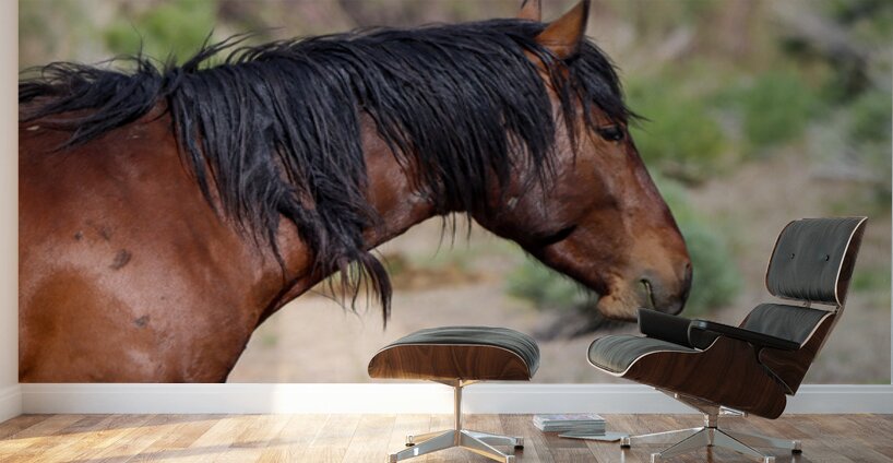 Nevada Mustang 2 4 Wall Murals