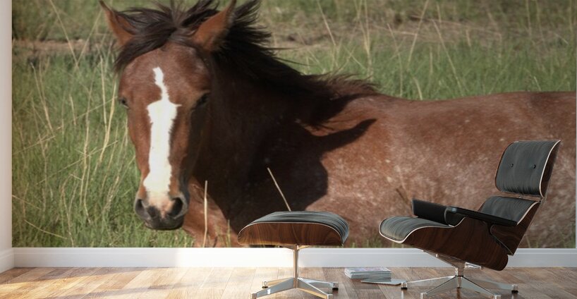 Nevada Wild 16 1 Wall Murals